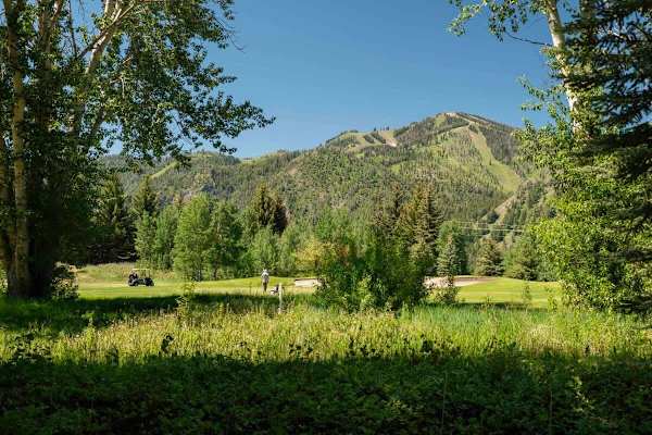 Abode at Bigwood Golf, prime location, hot tub, Sun Valley