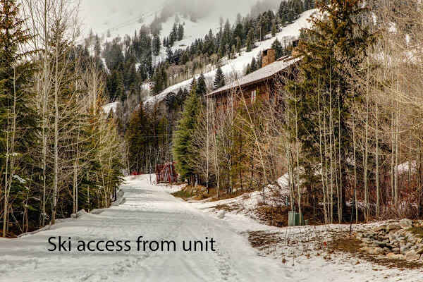 Abode on Obsidian, walk to lift, best value in Teton Village