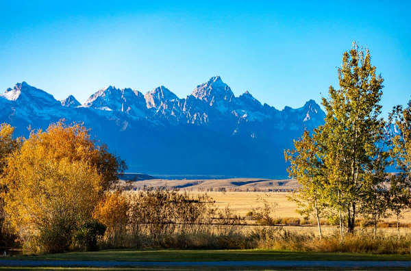 Abode at 7 Cabins, perfect for large groups, Teton views, wildlife