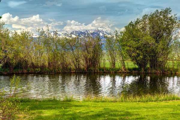 Abode at 7 Cabins, perfect for large groups, Teton views, wildlife