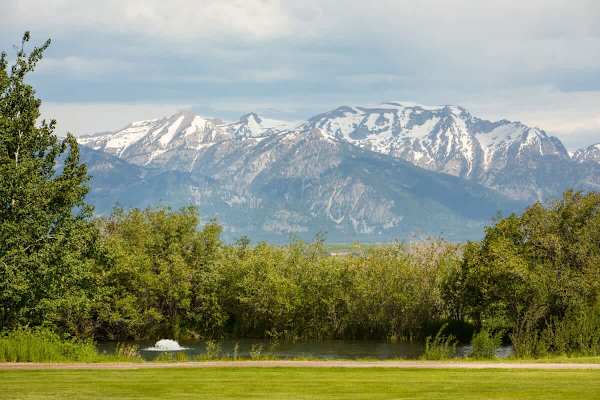 Abode at 7 Cabins, perfect for large groups, Teton views, wildlife