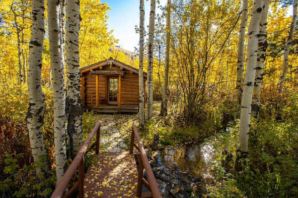 Abode at 7 Cabins, perfect for large groups, Teton views, wildlife