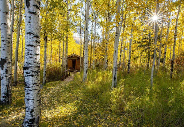 Abode at 7 Cabins, perfect for large groups, Teton views, wildlife