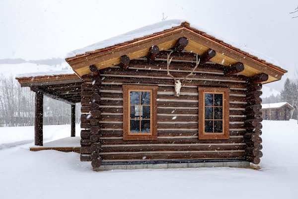 Abode at 7 Cabins, perfect for large groups, Teton views, wildlife