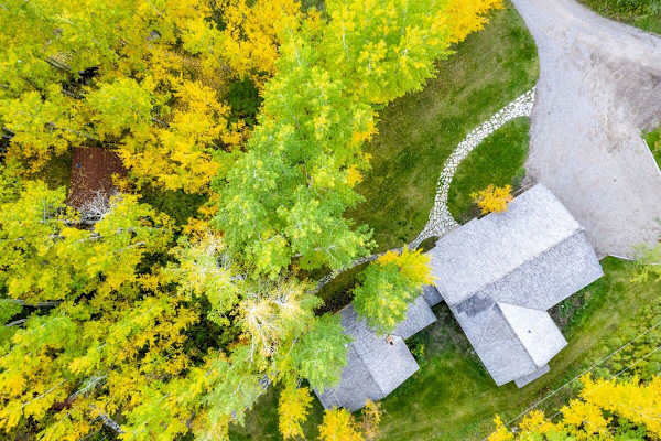 Abode at 7 Cabins, perfect for large groups, Teton views, wildlife