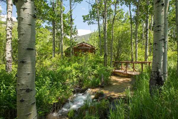 Abode at 7 Cabins, perfect for large groups, Teton views, wildlife