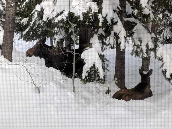 Abode at the Homestead, walk to slopes, private hot tub, chef's kitchen