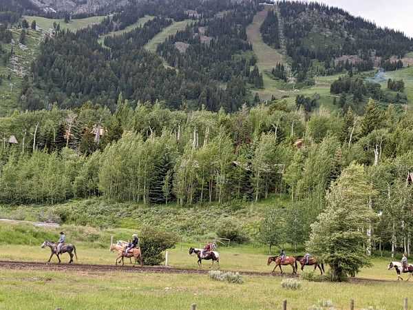 Abode at the Homestead, walk to slopes, private hot tub, chef's kitchen