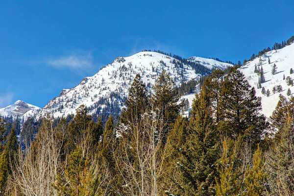 Abode at Moose Creek #21, ski-in/out, private hot tub, mountain views