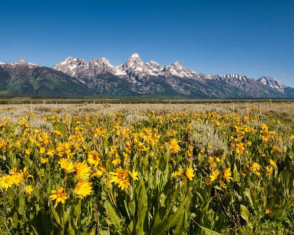 Abode at Granite Ridge, luxury Jackson Hole lodge, sound system