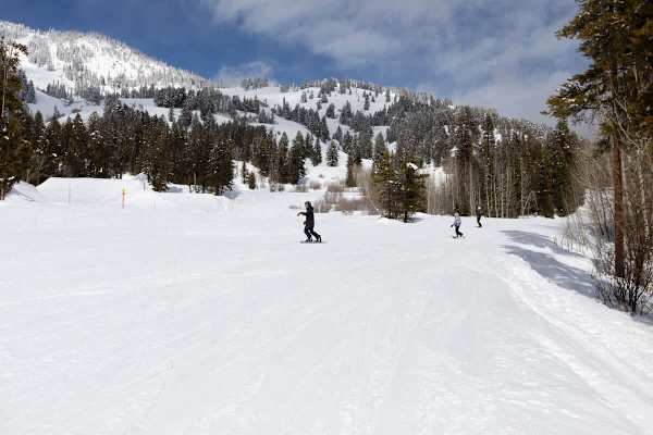 Abode on the Big Trail, ski in/ski out, hot tub & pool