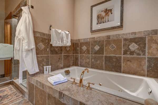 Abode at Grand Teton Vista, Teton views, private hot tub, wildlife