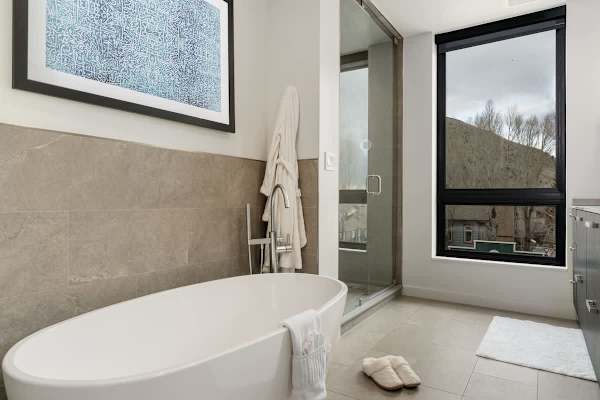 Abode at Sky View, rooftop hot tub, walk to town, stunning views