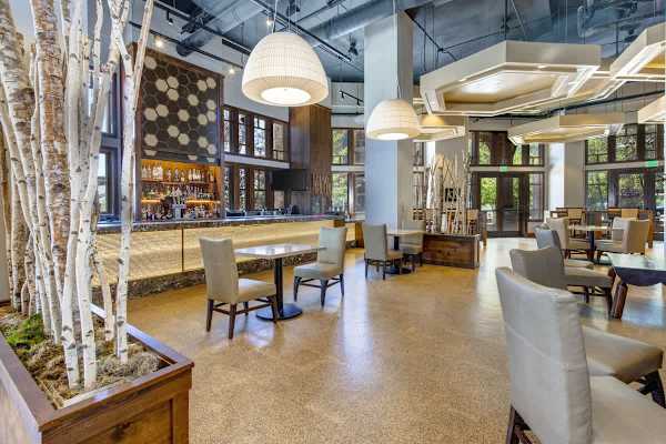 Abode at Alpine Penthouse, ski-in/ski-out, sauna, pool & gym