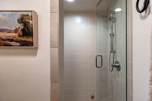 Ensuite bathroom in the master bedroom.