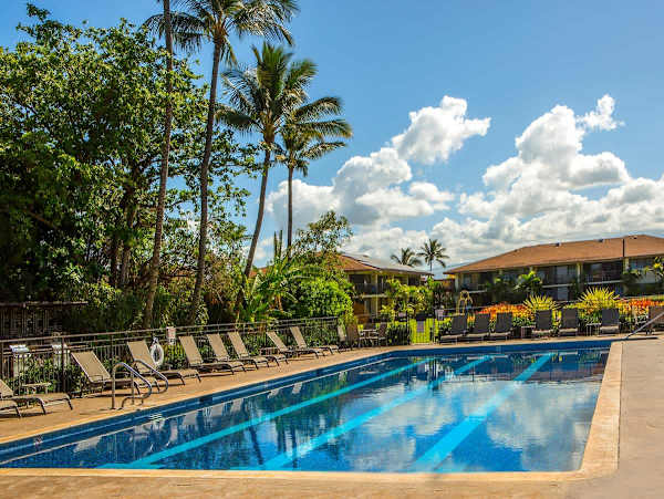 Don't miss the 60-foot pool with lap lanes!
