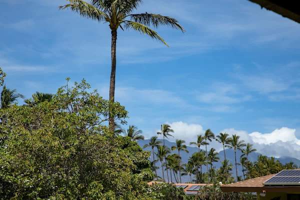 The view from your balcony.