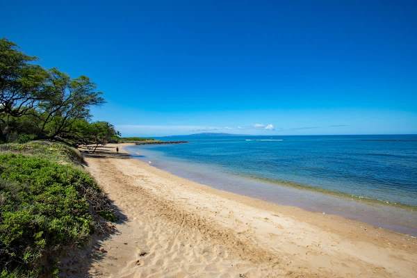 Maui beaches