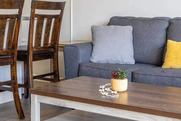 Pull-out sleeper sofa in the living room