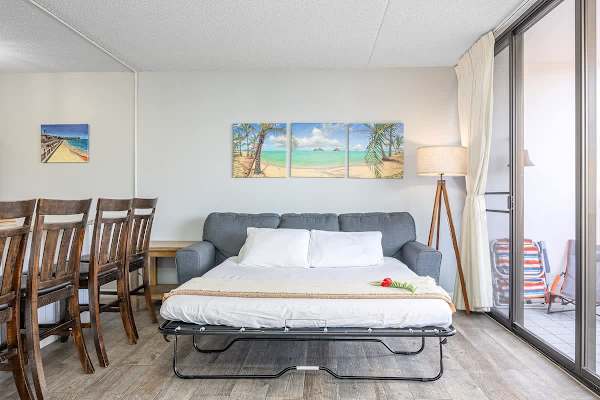 Pull-out sleeper sofa in the living room