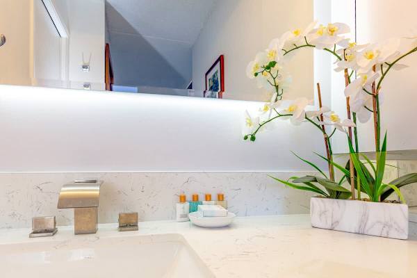 Bathroom and amenities