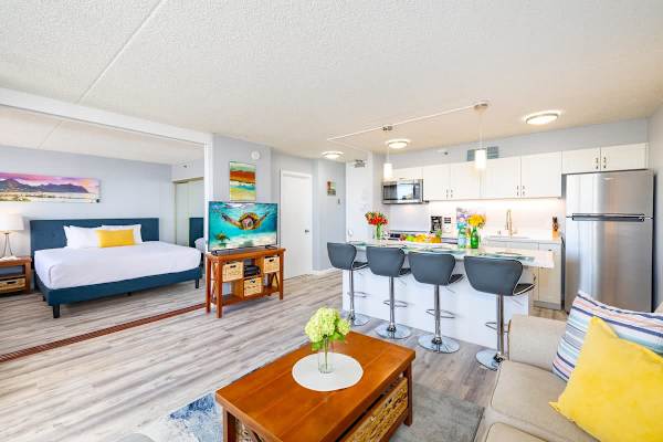 Overview of the living room, kitchen and bedroom. You can access the bathroom from the living and bedroom. 