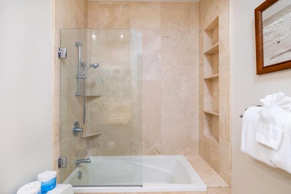 Full bathtub and shower