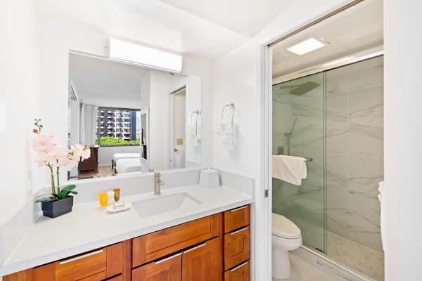 Full bathroom with walk-in shower