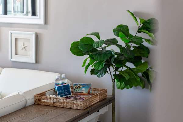 A cozy corner featuring a wicker tray with refreshments and tropical decor accents.
