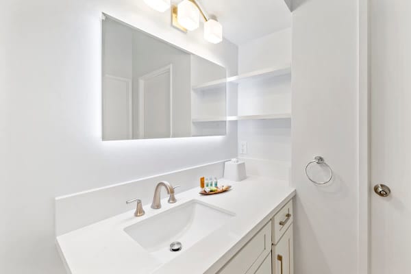 Bathroom with a vanity and a cabinet.