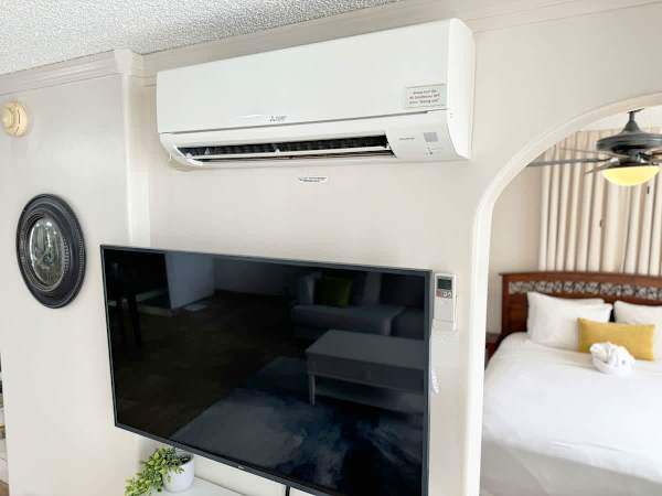 Ultra quiet split AC in the living room