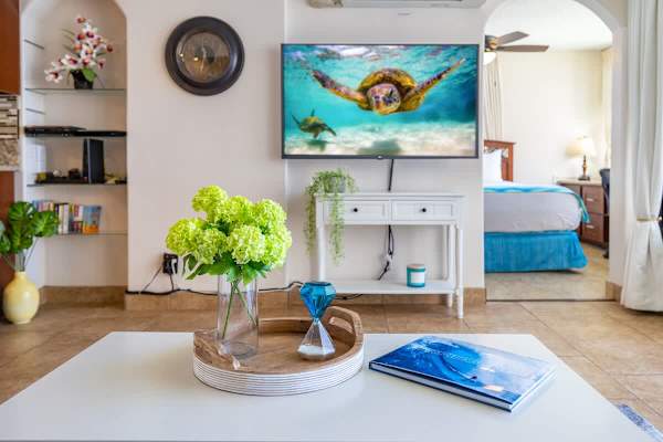 Smart TV in the living room