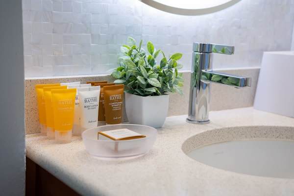 Bathroom details