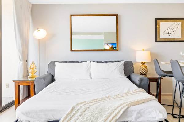 Pull-out sleeper sofa in the living room