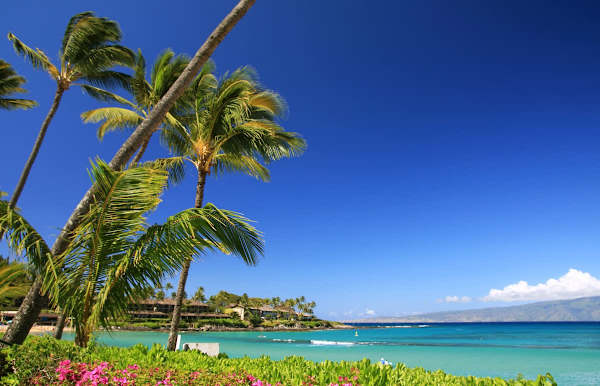 Beautiful Maui