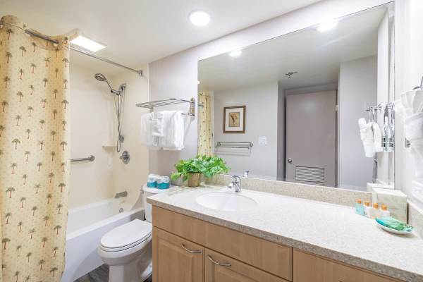 Full bathroom with a tub/shower combo