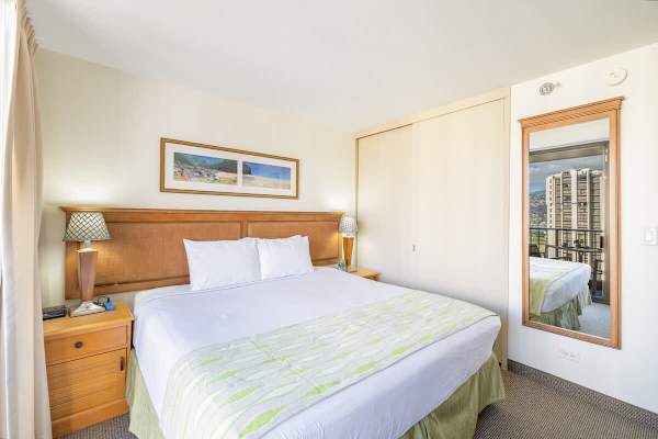 Nice king size bed with closet and mirror