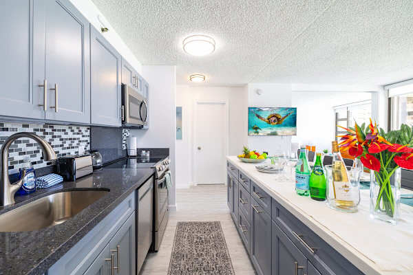 Fully equipped kitchen with dishwasher 