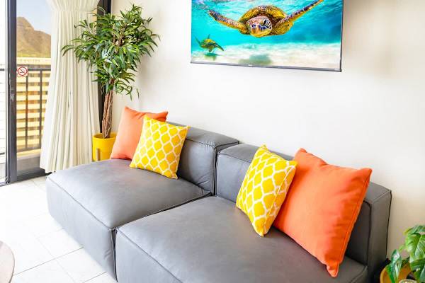 Comfortable couch and cable TV