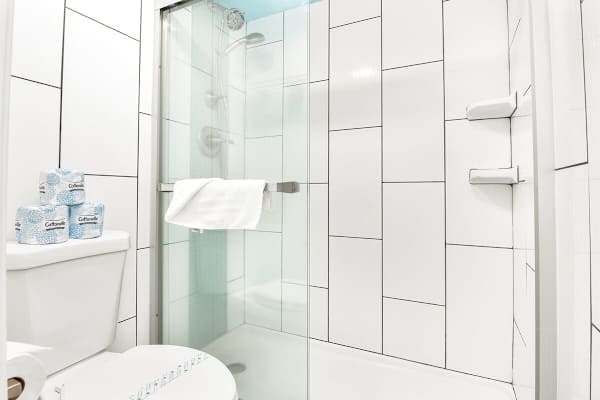 full bathroom with walk-in shower.
