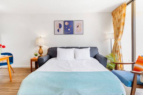 Pull-out sleeper sofa in the living room.