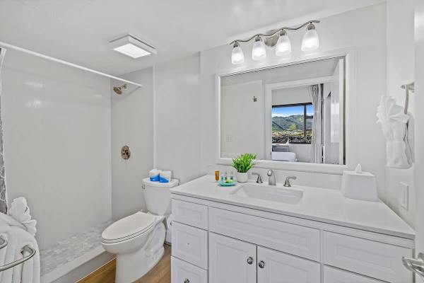Full bathroom with walk in shower