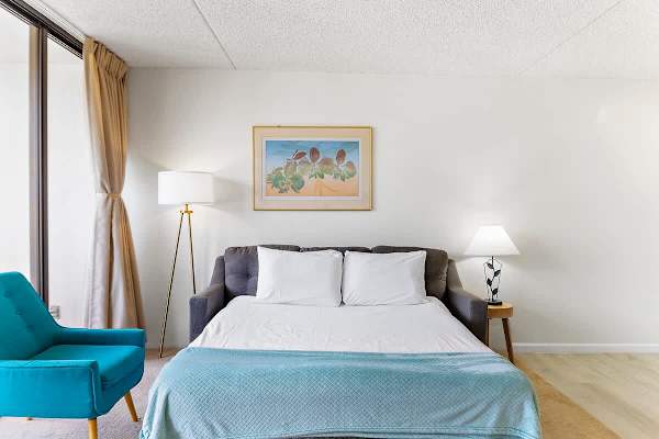 Pull-out sleeper sofa in the iving room. 