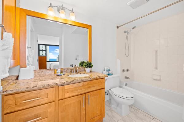 Well-lit bathroom with tub/shower combo