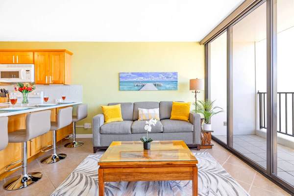 Pull-out sleeper sofa in the living room.