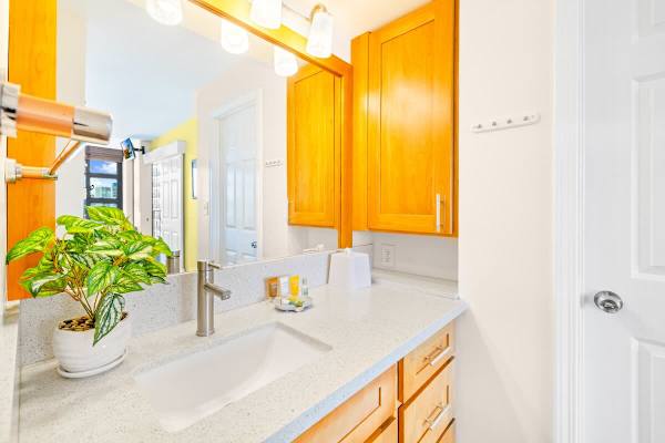 Full bathroom with vanity and cabinet.