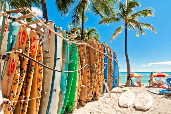 Hit the waves, soak up the sun, and live the Waikiki dream! With Waikiki Beach and all its surf-ready boards just moments from your stay, your perfect Hawaiian adventure is calling!