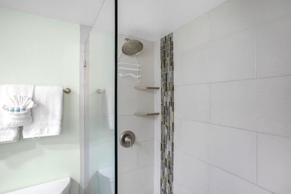 Bathroom with walk-in shower