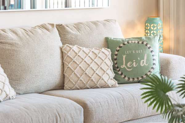 Pull-out sleeper sofa in the living room.