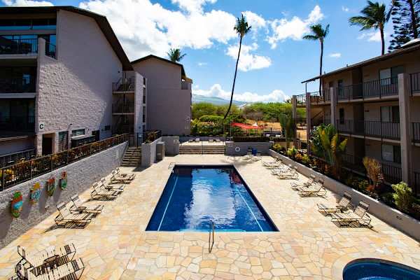 Take a refreshing dip in the resort-style outdoor swimming pool, surrounded by comfortable lounge chairs, towering palm trees, and sunny skies.